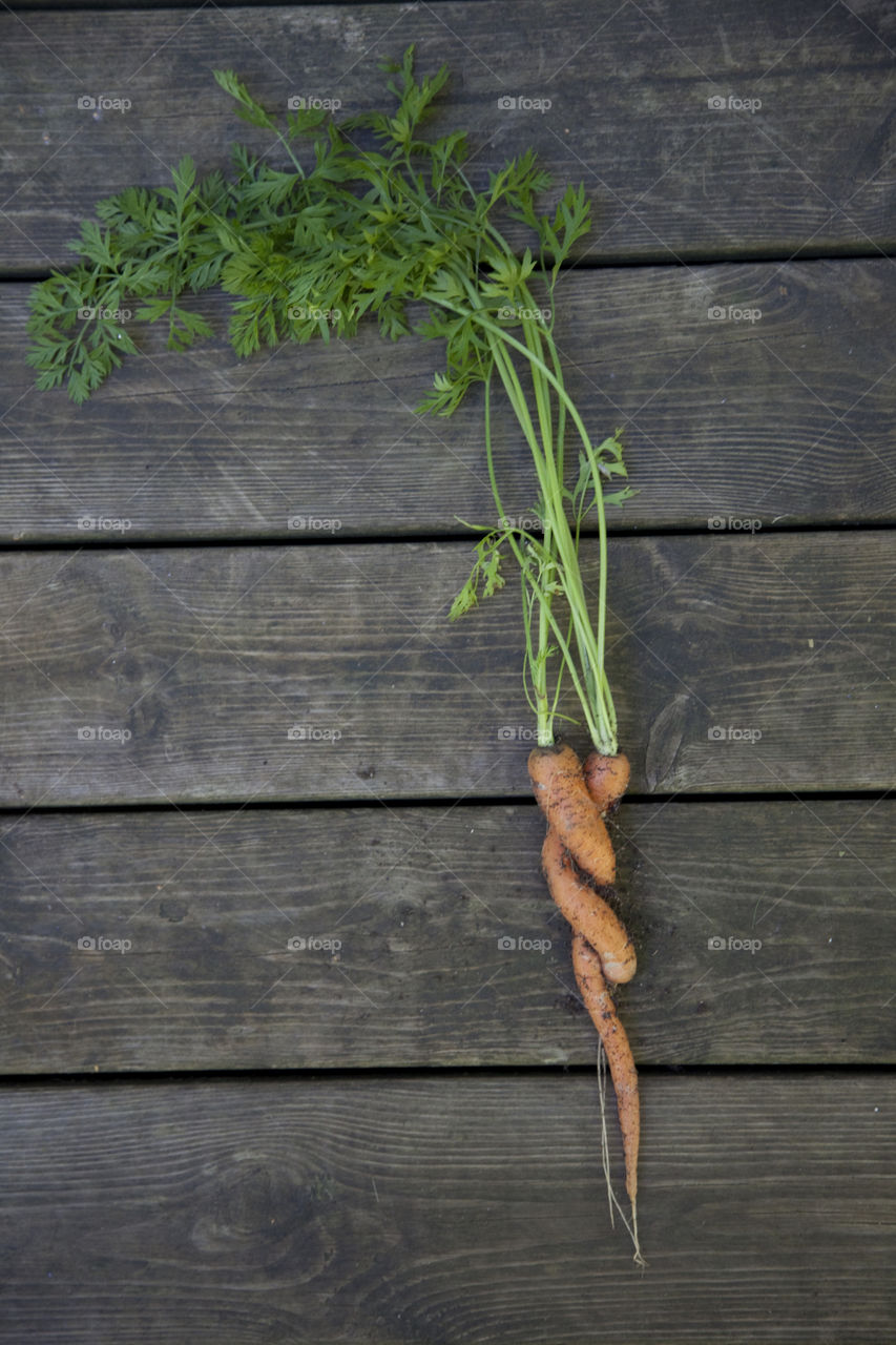 Close-up of carrot on wood