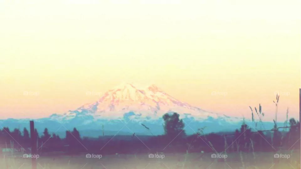 Mt Rainier 