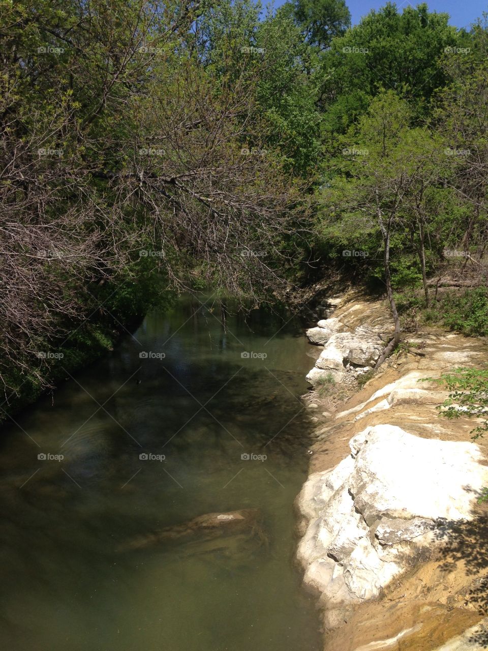 Trail beauty. Creek next to a walking trail
