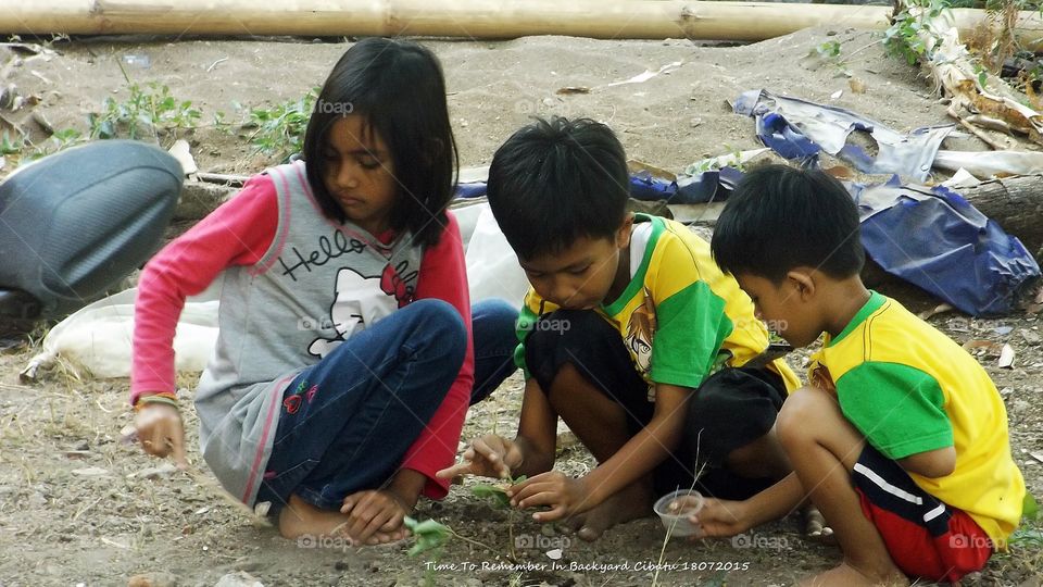 Group of children planting little seedling