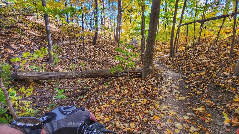 Mountain bike, trail,