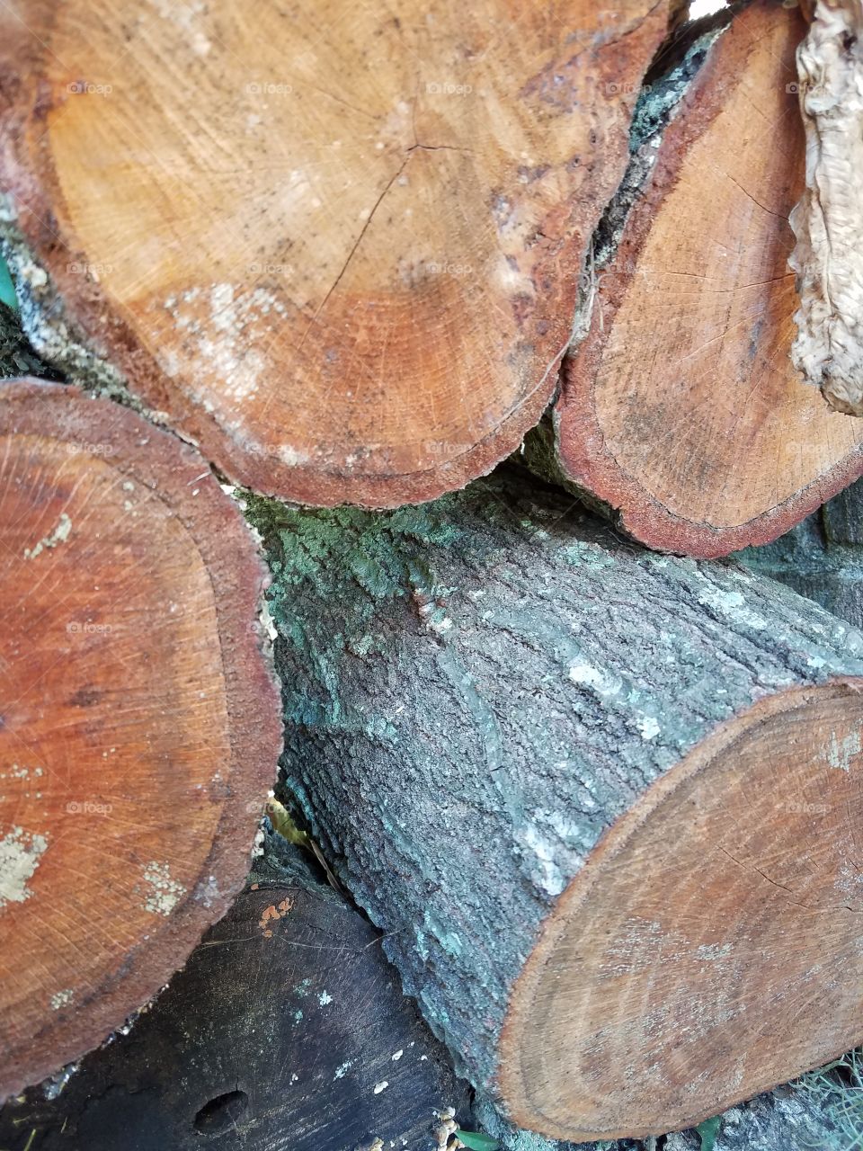 close-up of a woodpile