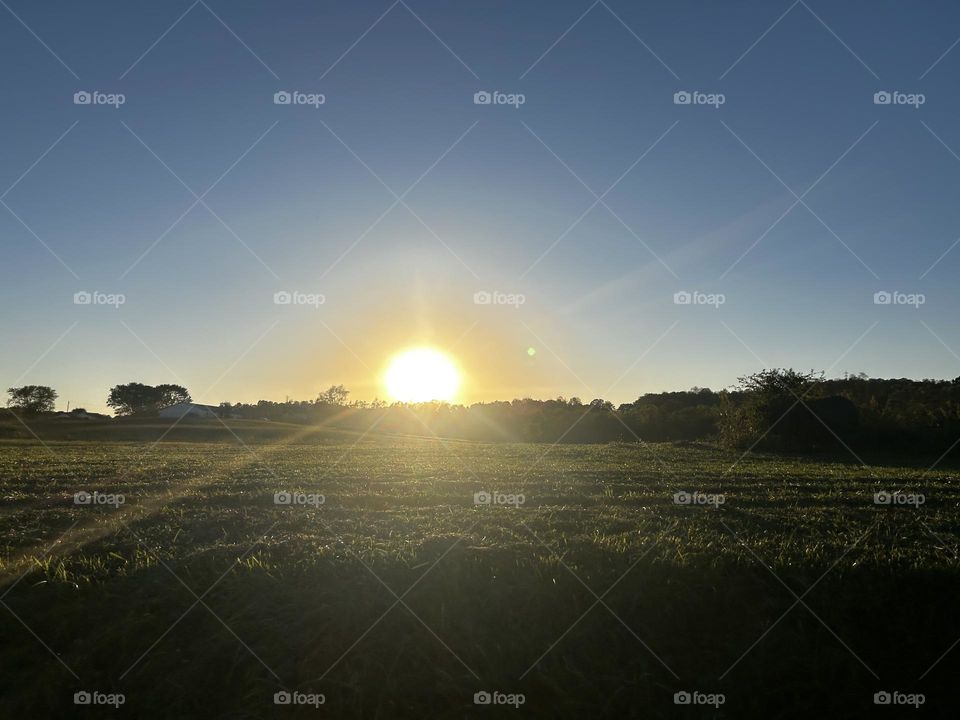 Capture every moment you can and love hard and live long❤️