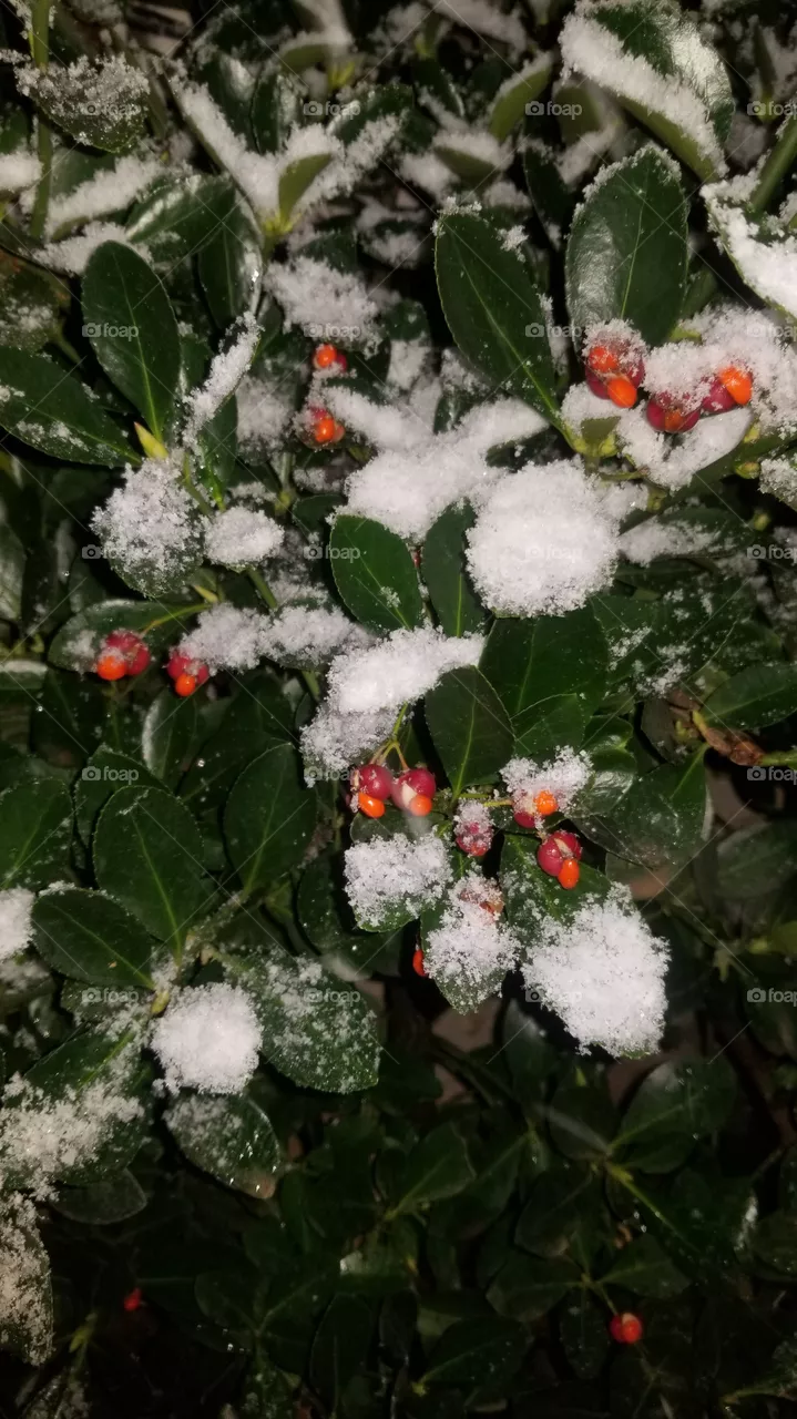 first snow