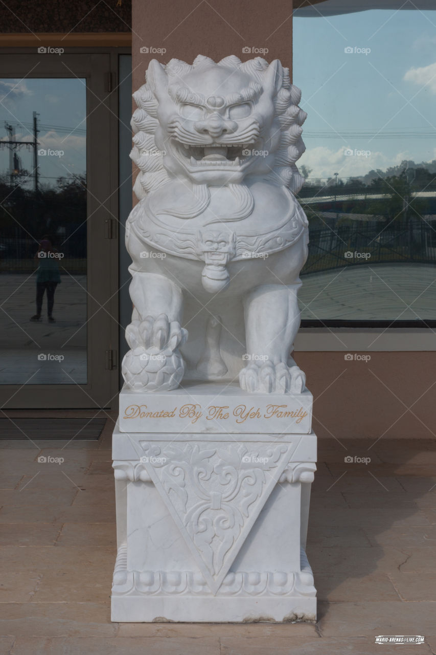 Lion Statue. Lion Statue