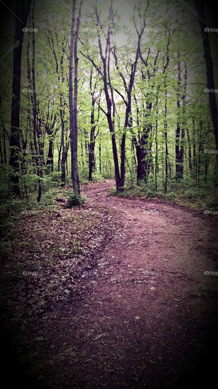 Pathway. Devils Lake trails