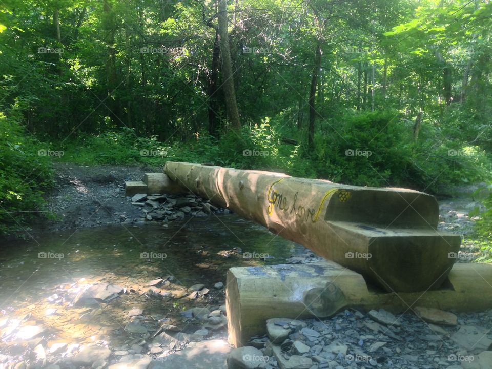 Log bridge over creek