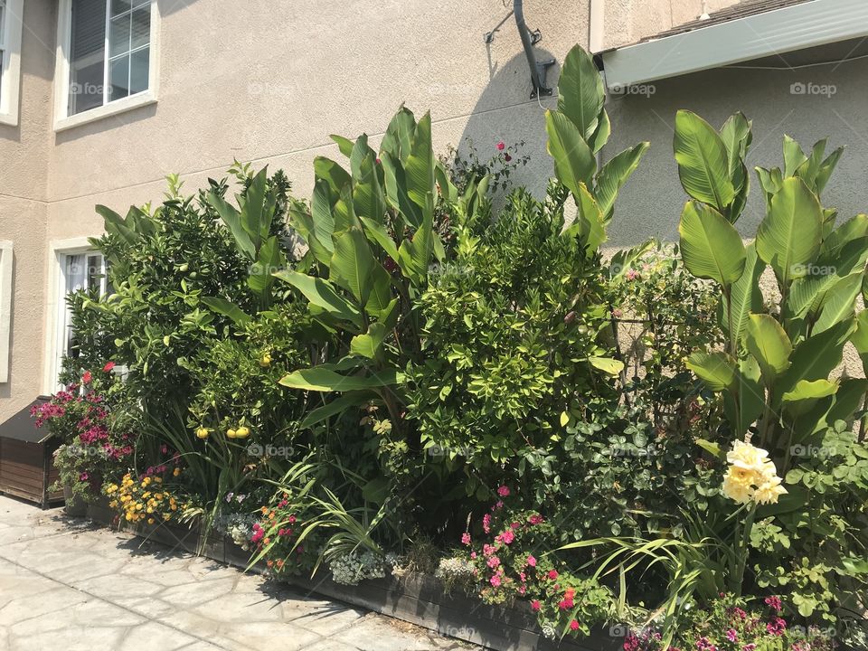 Backyard raised wood planter 