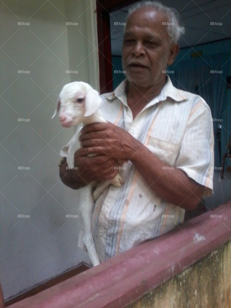 A sri lankan carrying a baby goat