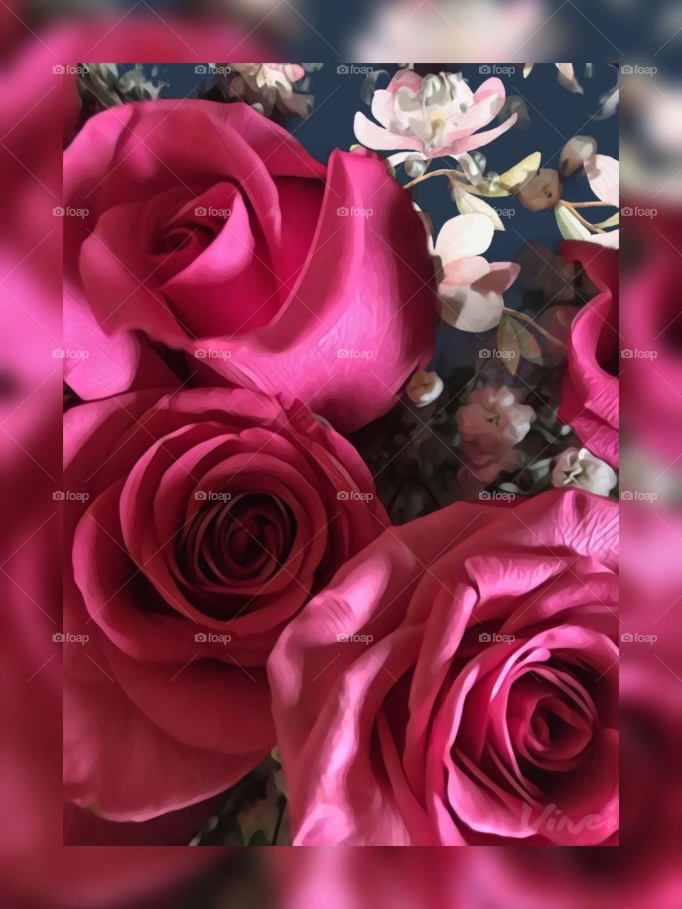 Close up pink roses