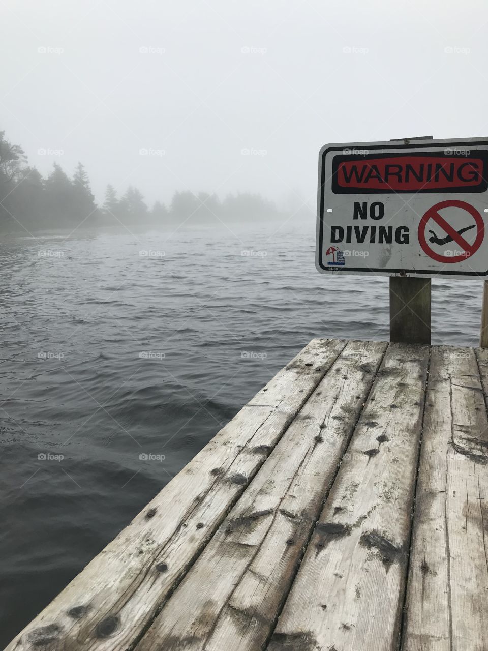 No diving 