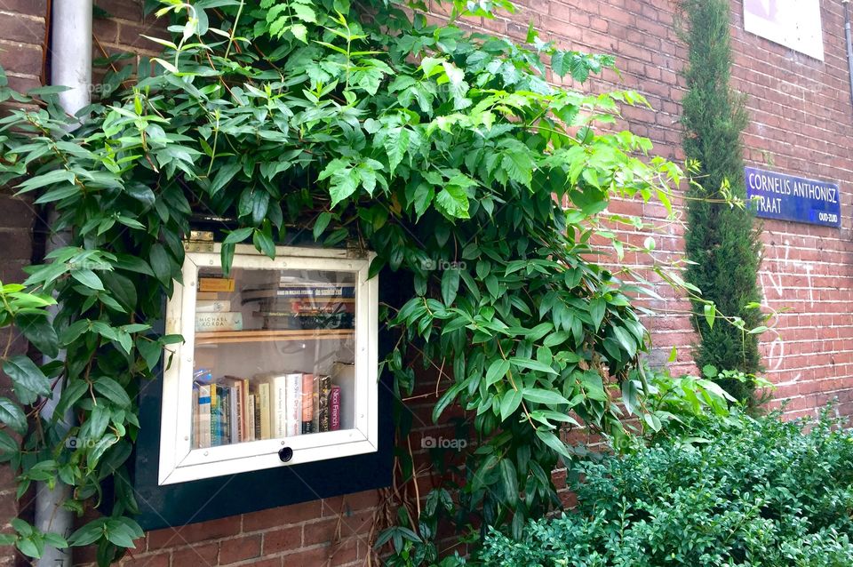 Outdoor public library