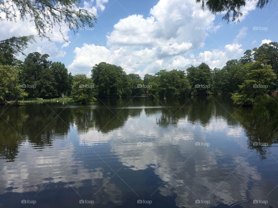Water, Reflection, No Person, Lake, Tree