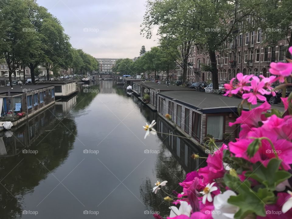 Early walk through Amsterdam Holland 