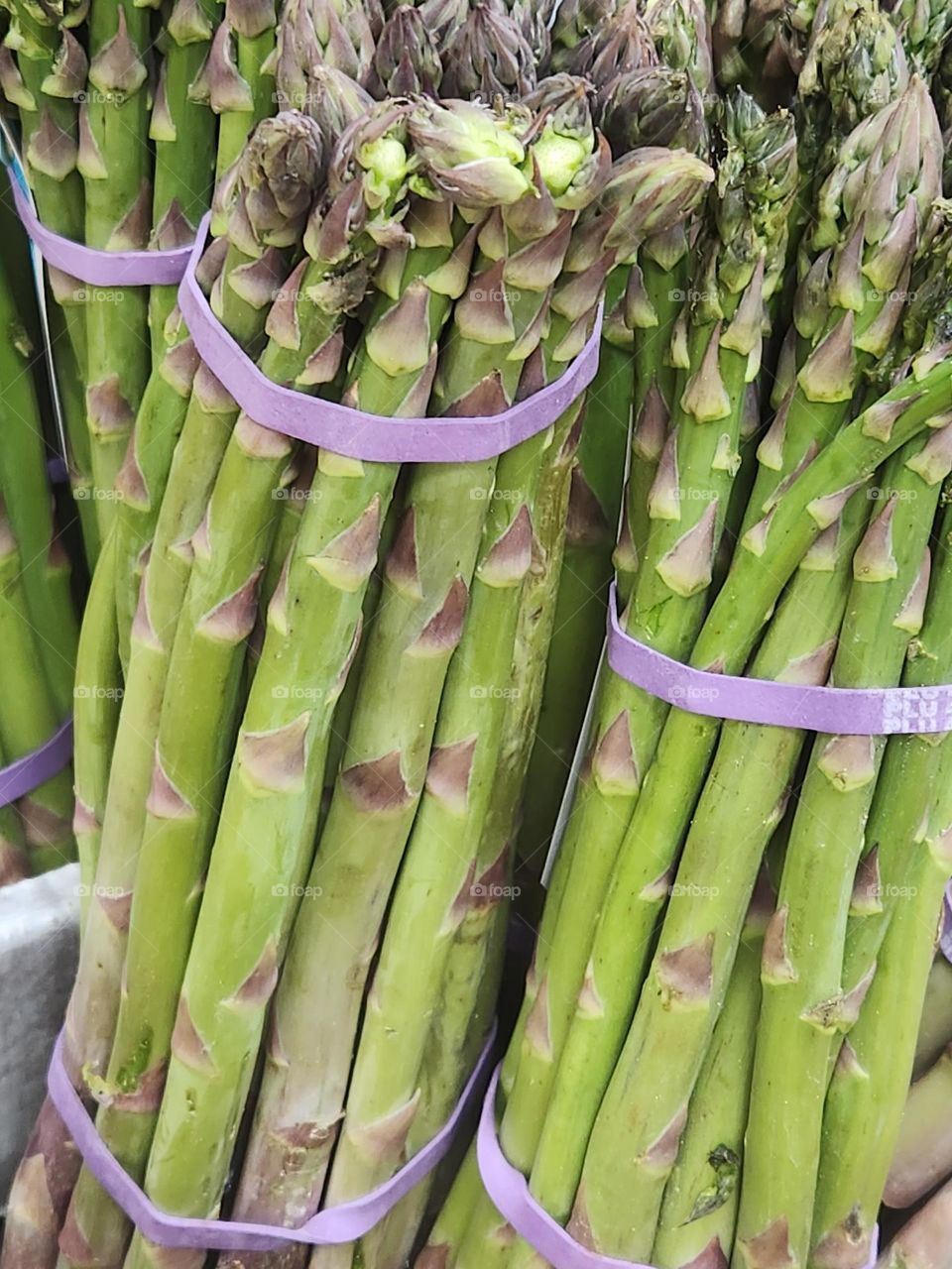 selection of bound green bunches of Asparagus from local market