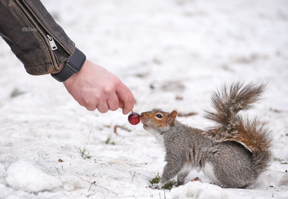 Who wouldn’t be in love with this friendly squirrel? They were so friendly and happy when we gave them some cherries! Love them! 