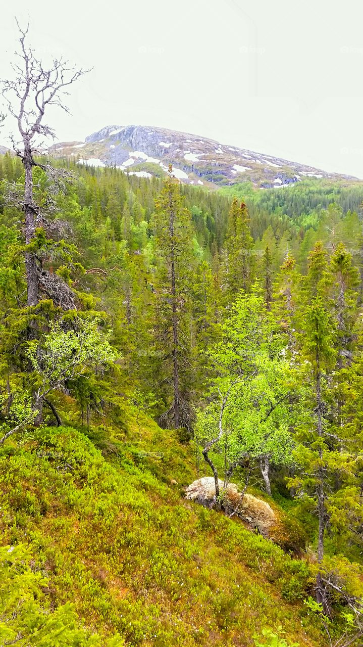 Mountainview in Norway