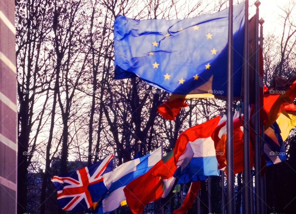 EU. European Parliament 