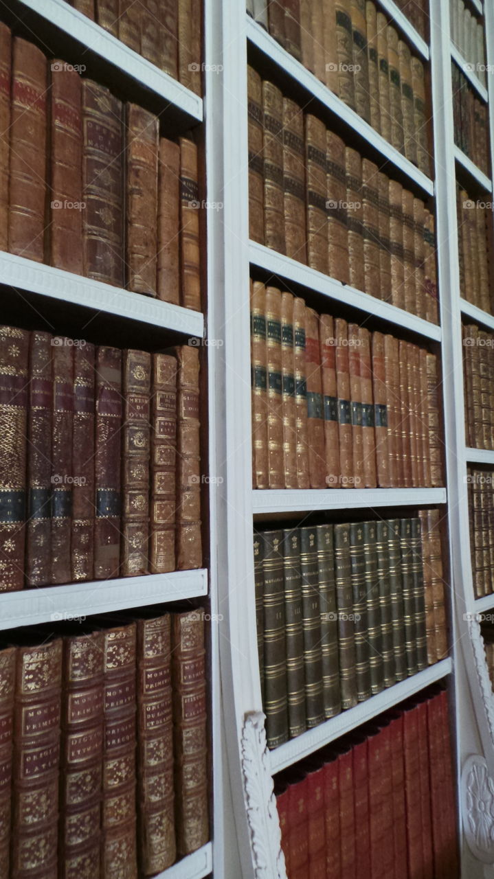 centuries old books in a English 16th century stately home