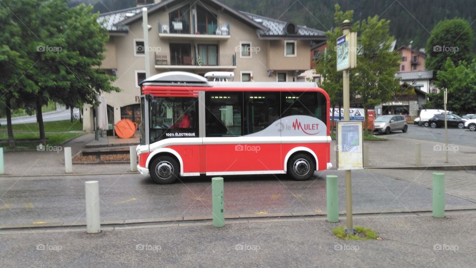Small Bus