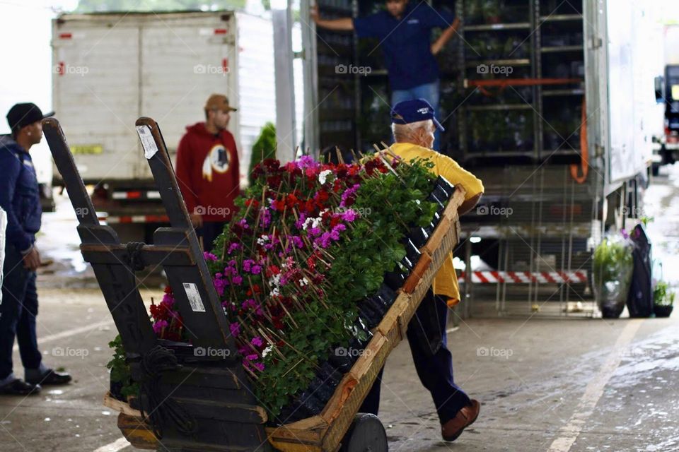 flowers watered with sweat