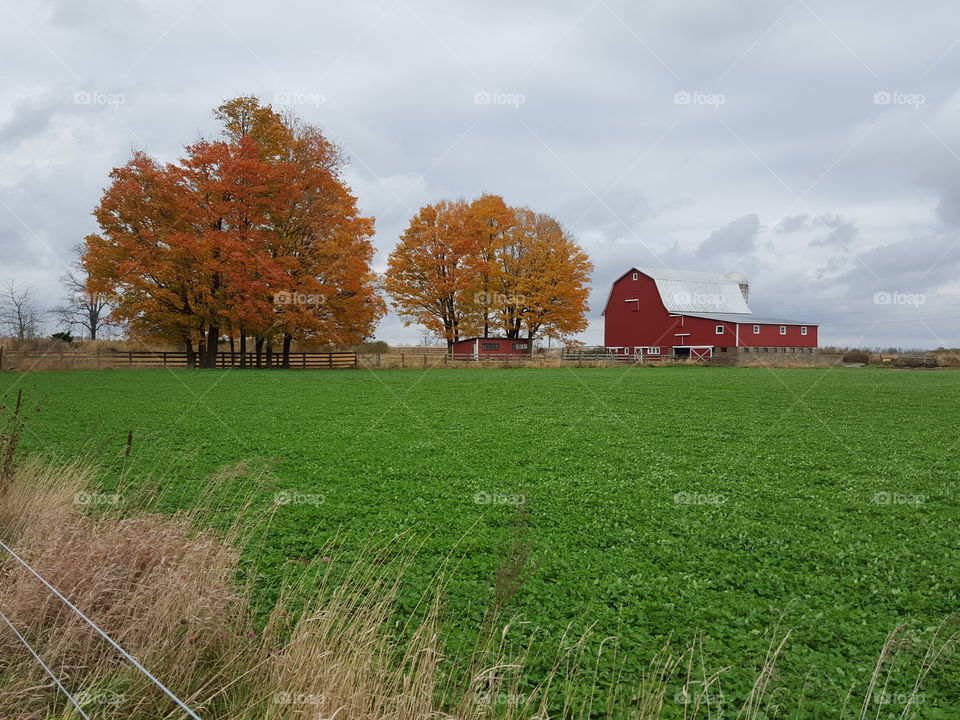 farmland