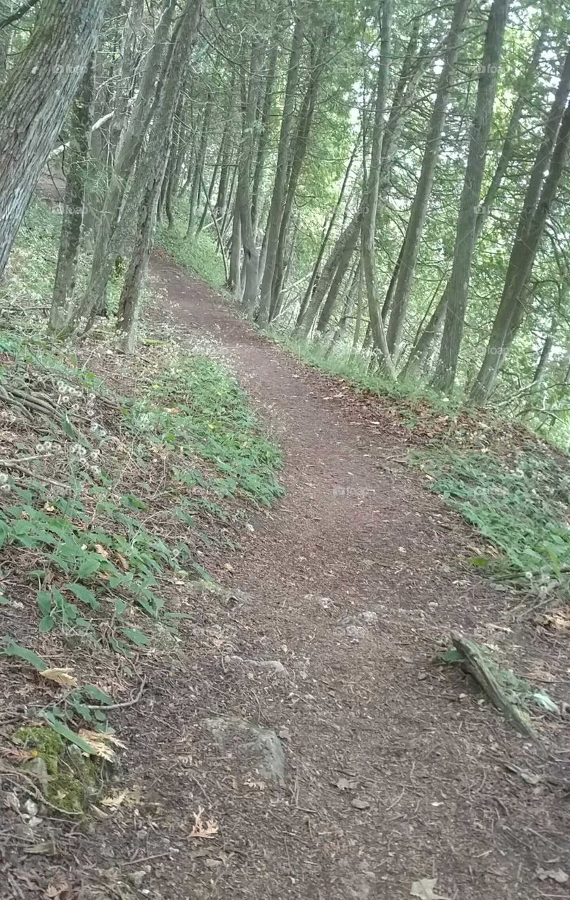 natural trails