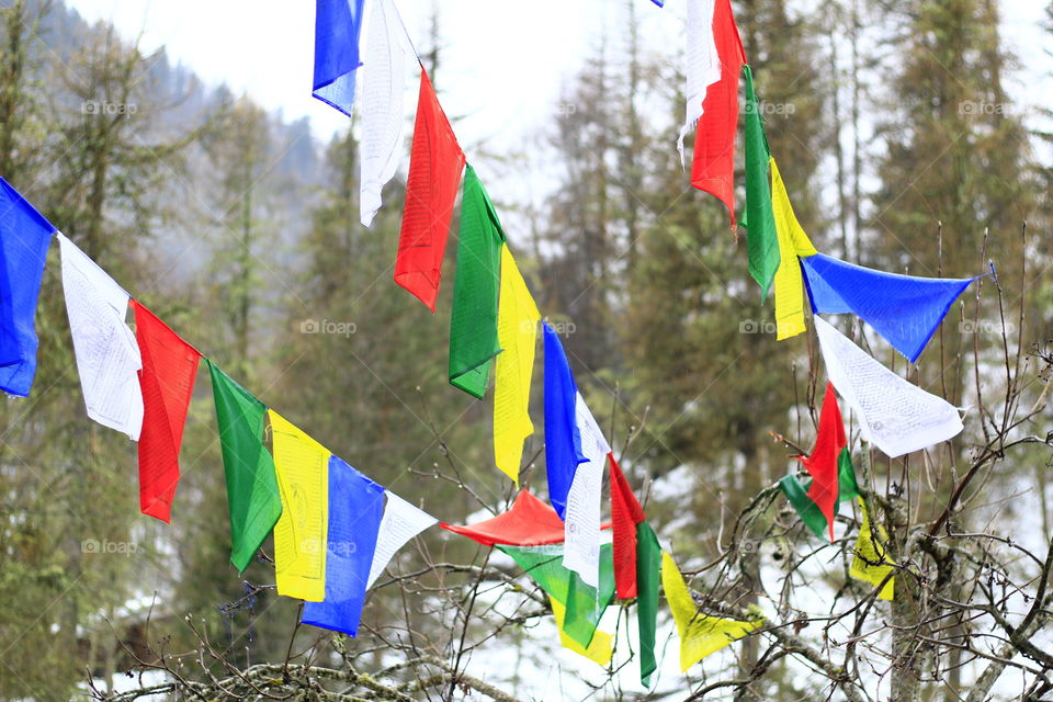 Multicolor flags