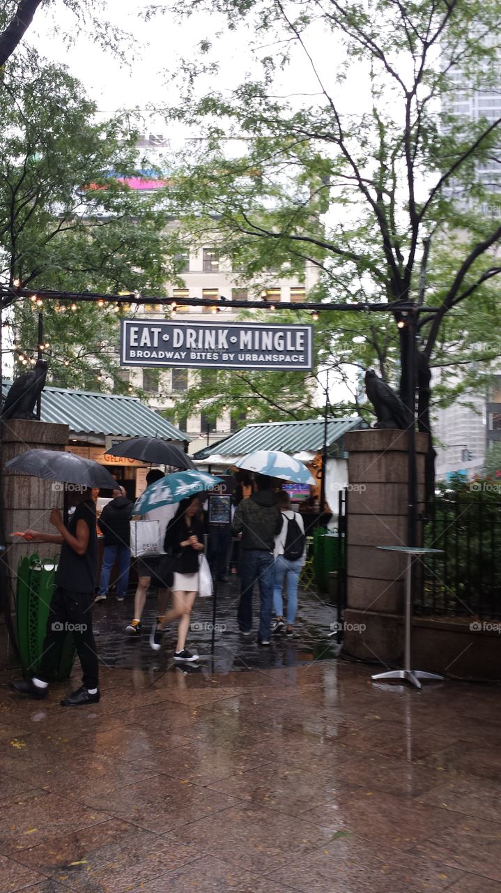 autumn rain reflection