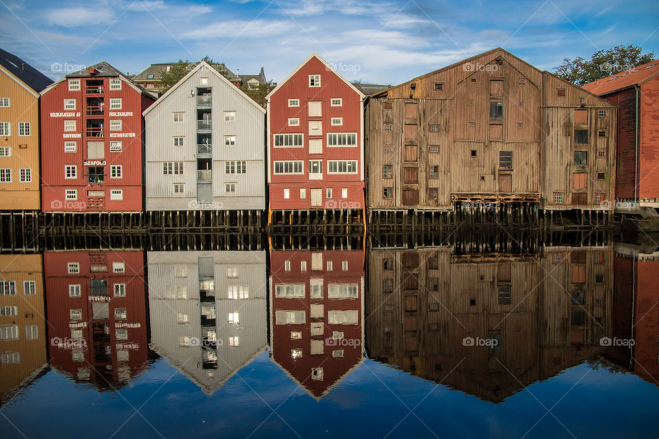 River reflections 