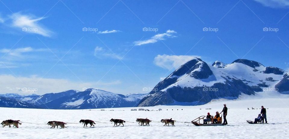 Dogsled Alaska
