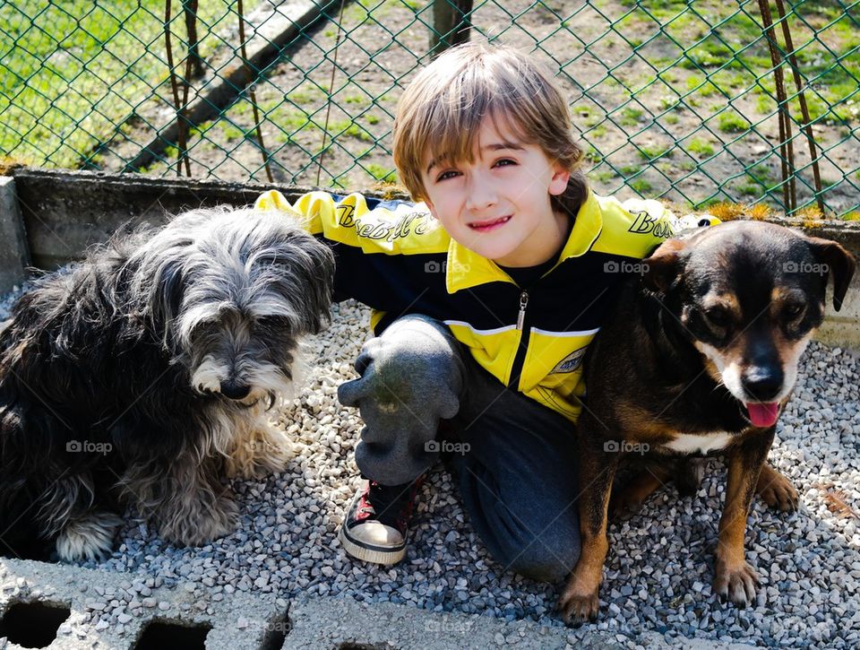 Child with dogs