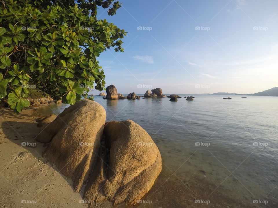 Beautiful ocean coast with large boulders and green trees