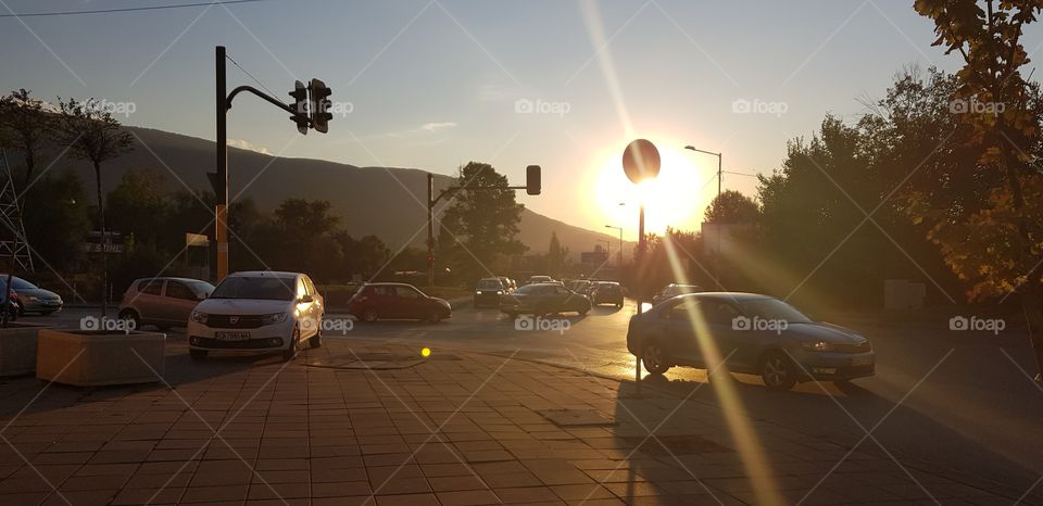 the sunny street