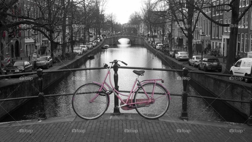 pink bike in Amsterdam