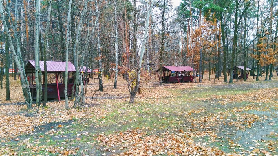 Fall in Kiev park, autumn 2016