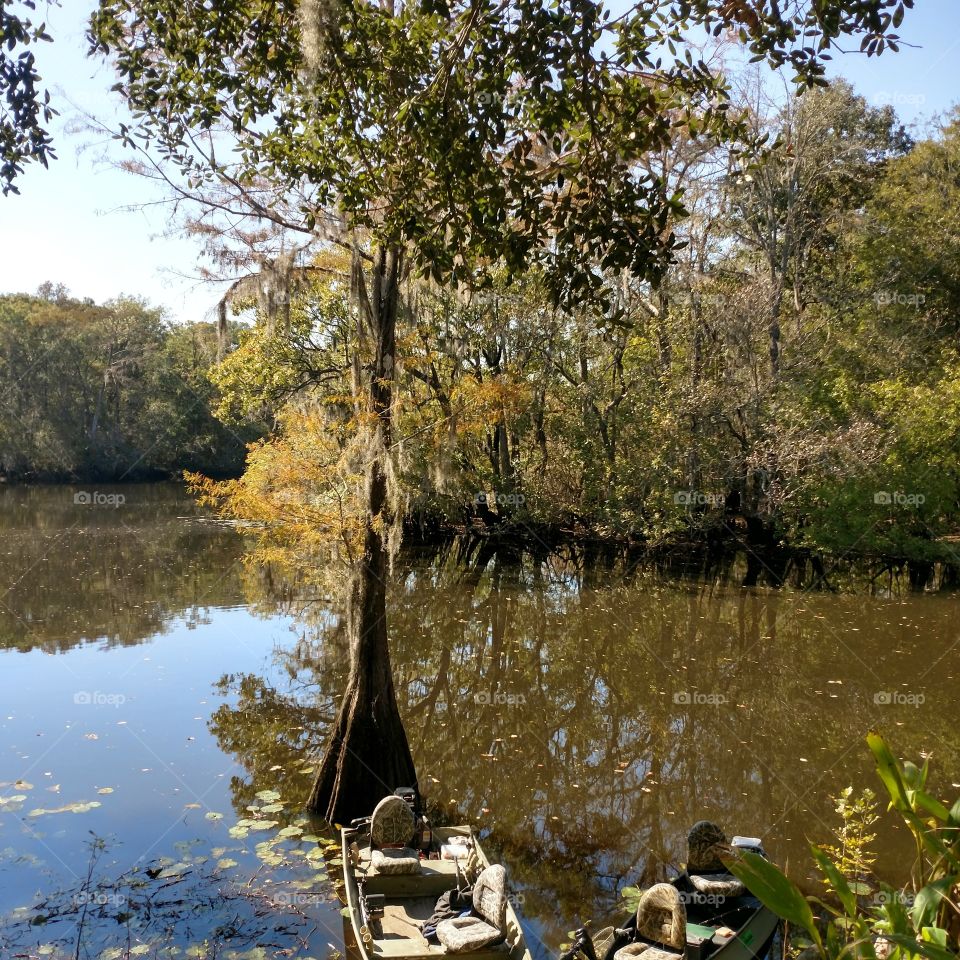 river life, Ogeechee River, boats, cat lines, fall fishing