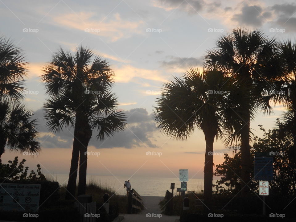 The sun sets over the beach, as seen from the entrance to the access.  Palm trees in the foreground.