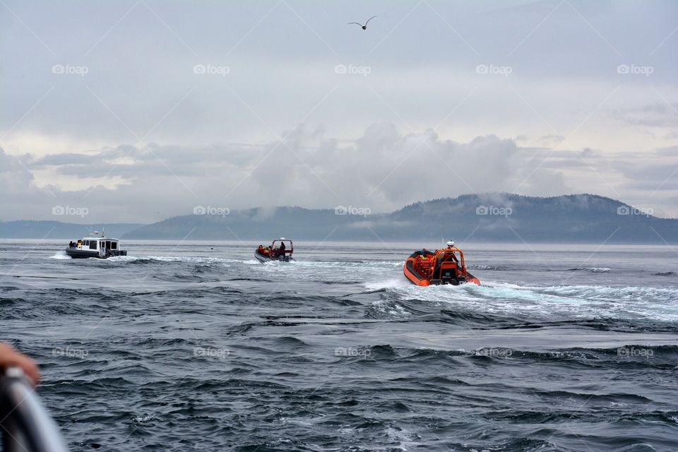 Going out to sea