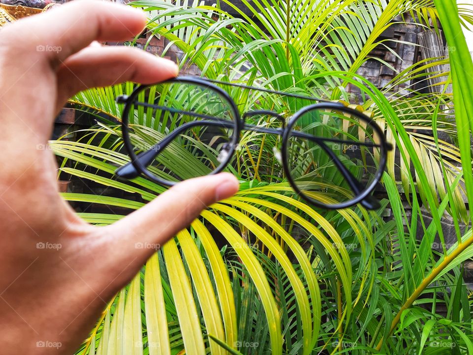the eyeglasses are on the hand with natural plants background