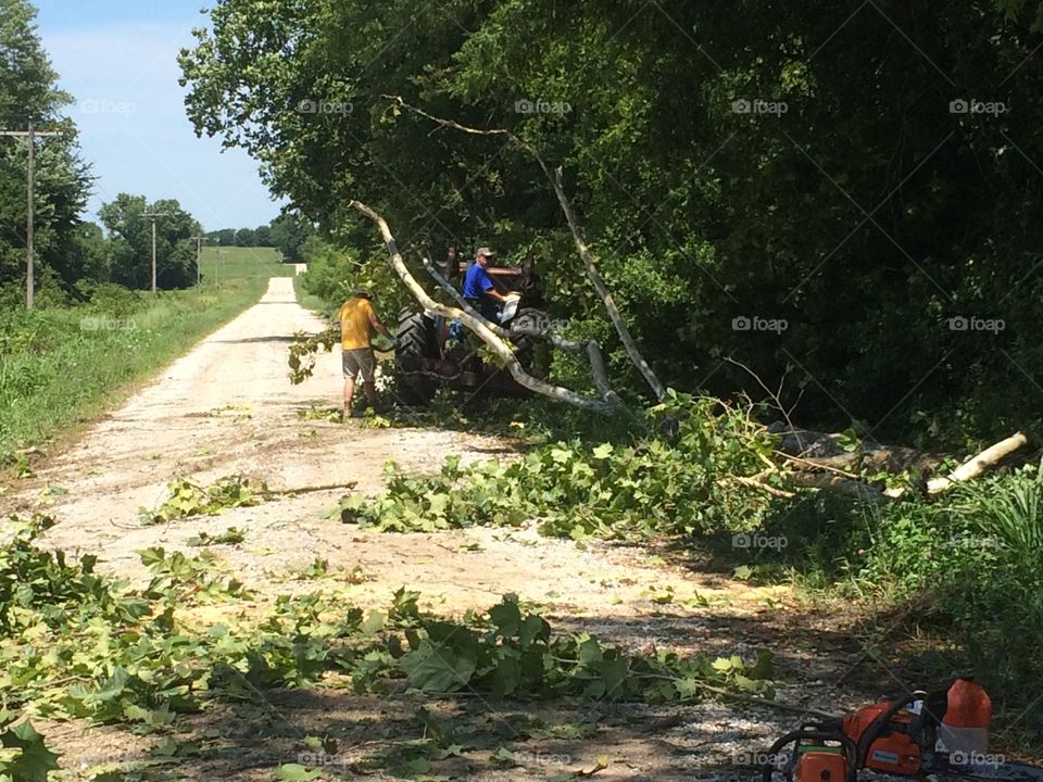 Neighbors Working Together to Clear Fallen Tree from Gravel Road