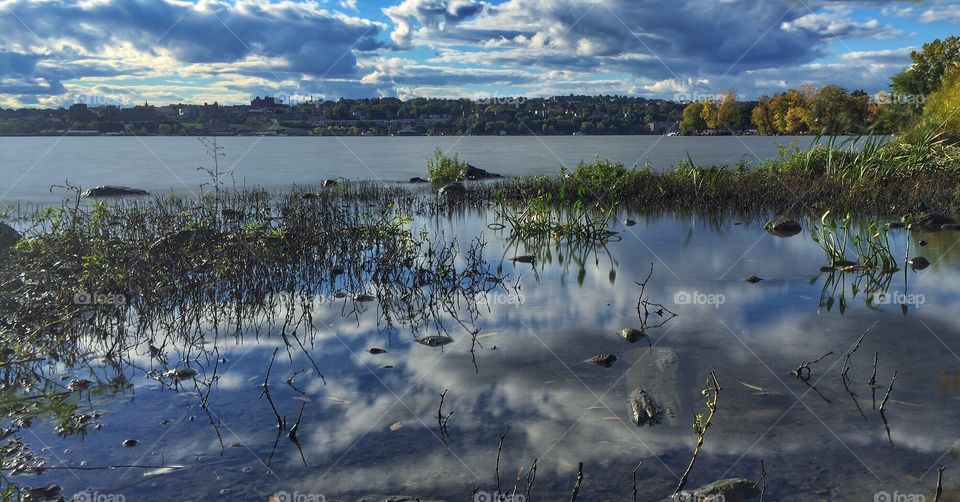 Marshlands and the Hudson. A still marshland pond in the foreground with the Hudson River in the background 