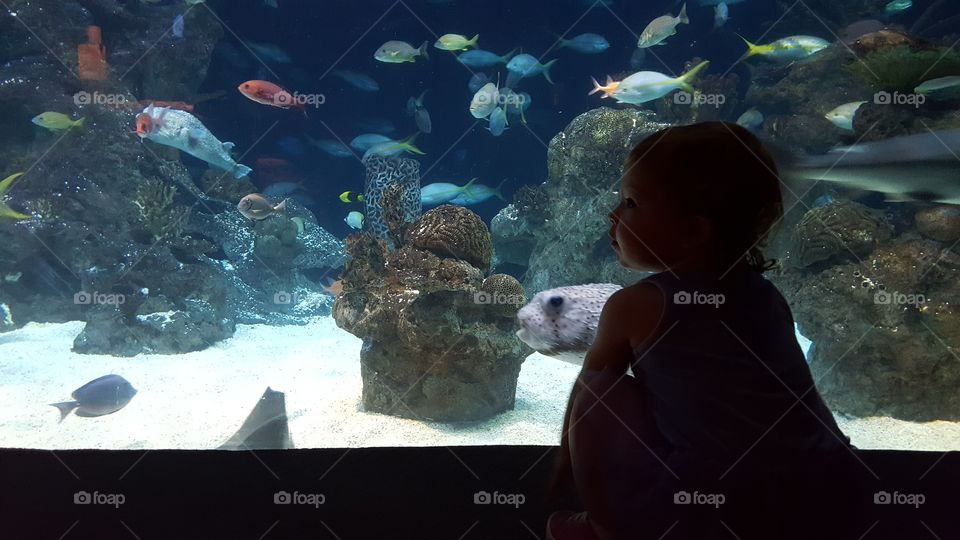 fun at aquarium