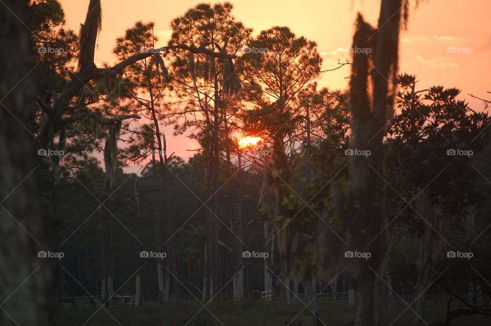 Florida sunset