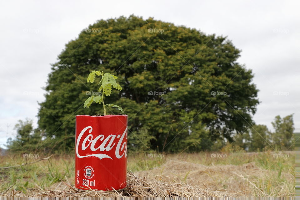 Planning for the future - growth and greenery