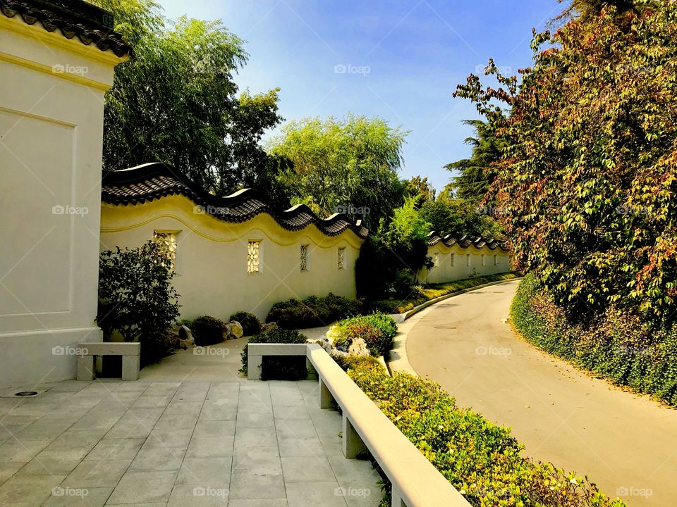 Japanese garden Huntington library 