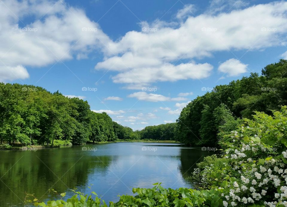 Spring at Tallmadge OH 