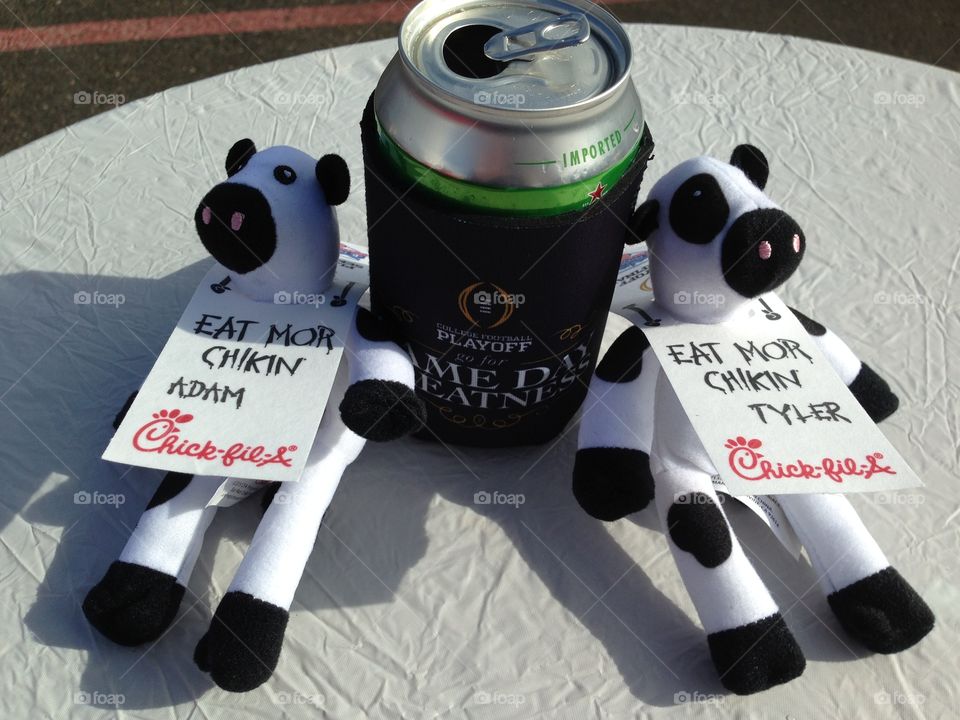 Chick Fil a Cows