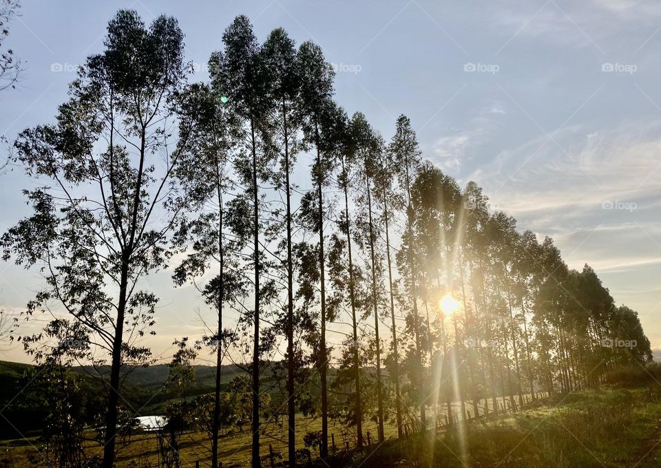 🌄🇺🇸 An extremely beautiful dawn in Jundiaí, interior of Brazil. Cheer the nature! / 🇧🇷 Um amanhecer extremamente bonito em Jundiaí, interior do Brasil. Viva a natureza! 