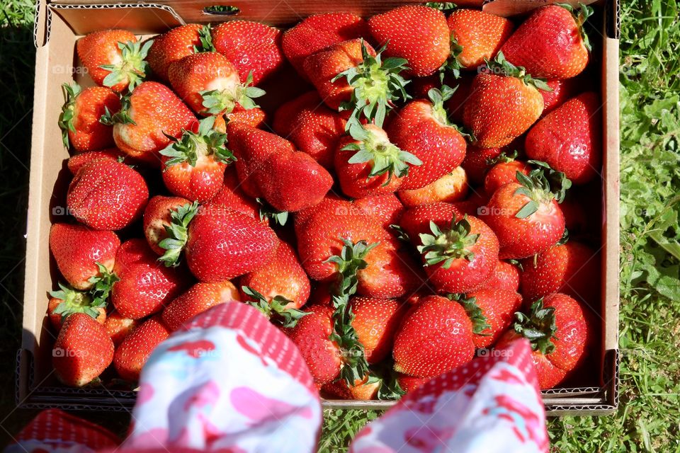 Strawberries 